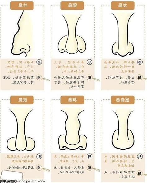 鼻翼 面相